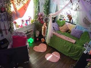 voyeurcam-veccasalt-01 webcam