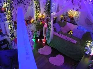 voyeurcam-veccasalt-01 webcam