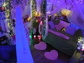 voyeurcam-veccasalt-01 webcam