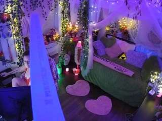 voyeurcam-veccasalt-01 webcam