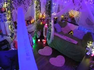 voyeurcam-veccasalt-01 webcam