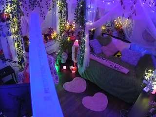 voyeurcam veccasalt 01