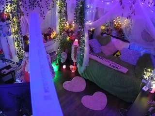 voyeurcam-veccasalt-01 webcam