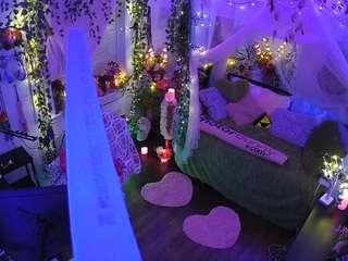 voyeurcam-veccasalt-01 webcam