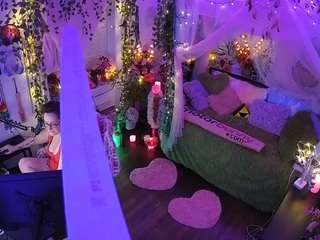 voyeurcam-veccasalt-01 webcam