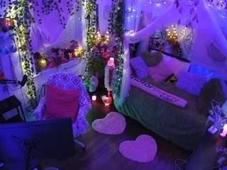 voyeurcam-veccasalt-01 webcam