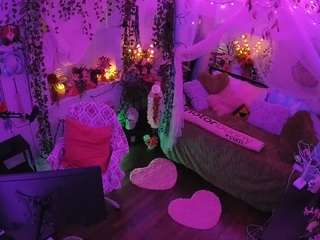 voyeurcam-veccasalt-01 webcam