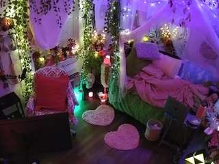 voyeurcam-veccasalt-01 webcam