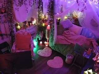 voyeurcam-veccasalt-01