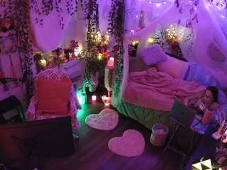 voyeurcam-veccasalt-01