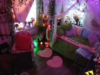 voyeurcam-veccasalt-01 webcam