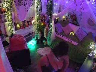 voyeurcam-veccasalt-01 webcam