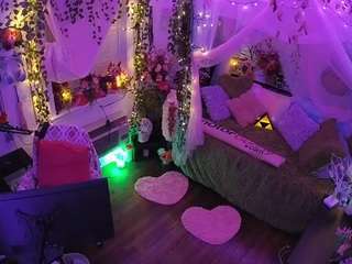 voyeurcam-veccasalt-01 webcam