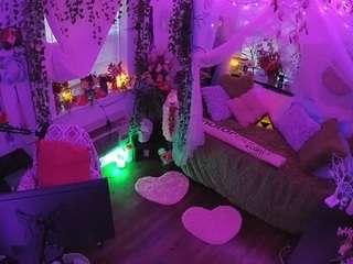 voyeurcam-veccasalt-01