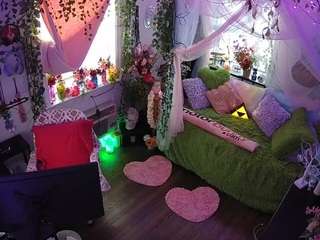 voyeurcam-veccasalt-01 webcam