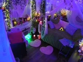 voyeurcam-veccasalt-01 webcam