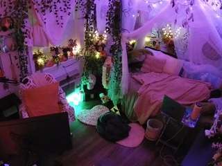 voyeurcam-veccasalt-01 webcam