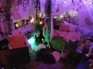 voyeurcam-veccasalt-01 webcam