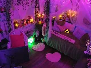 voyeurcam-veccasalt-01 webcam