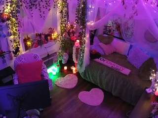 voyeurcam-veccasalt-01 webcam