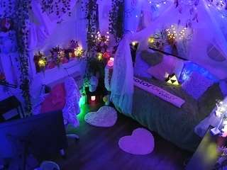 voyeurcam-veccasalt-01 webcam