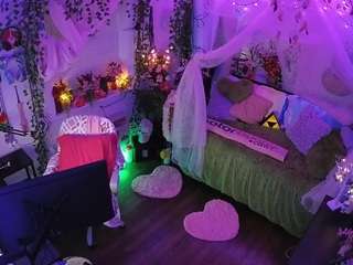 voyeurcam-veccasalt-01 webcam