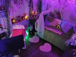 voyeurcam-veccasalt-01 webcam