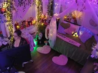 voyeurcam-veccasalt-01 webcam