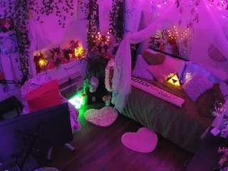 voyeurcam-veccasalt-01 webcam