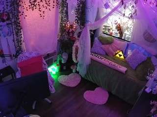 voyeurcam-veccasalt-01 webcam