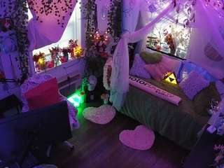 voyeurcam-veccasalt-01 webcam