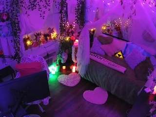 voyeurcam-veccasalt-01 webcam