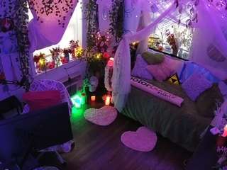 voyeurcam-veccasalt-01 webcam