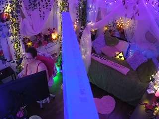 voyeurcam-veccasalt-01 webcam