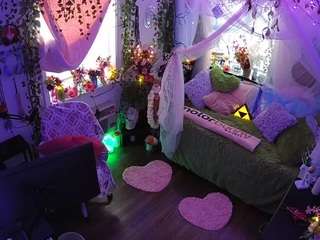 voyeurcam-veccasalt-01 webcam