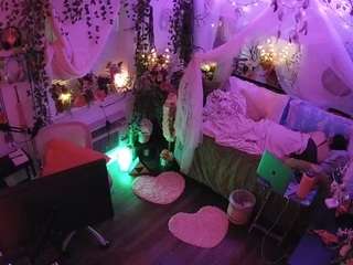 voyeurcam-veccasalt-01 webcam