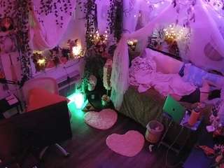 voyeurcam-veccasalt-01 webcam