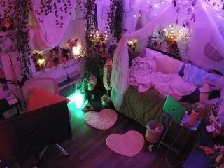 voyeurcam-veccasalt-01 webcam