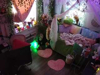 voyeurcam-veccasalt-01 webcam