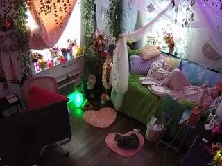 voyeurcam-veccasalt-01 webcam