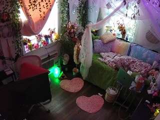 voyeurcam-veccasalt-01