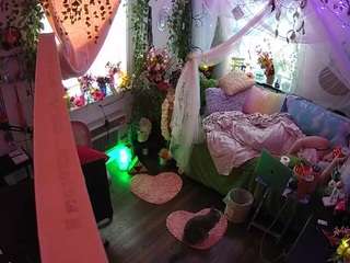 voyeurcam-veccasalt-01