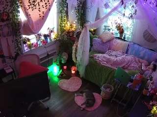 voyeurcam-veccasalt-01 webcam