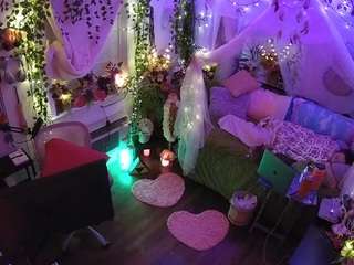 voyeurcam-veccasalt-01