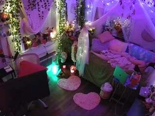 voyeurcam-veccasalt-01