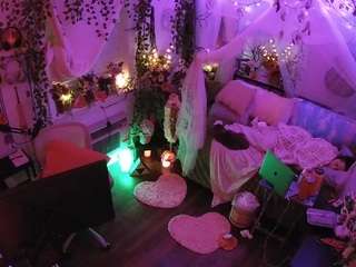 voyeurcam-veccasalt-01