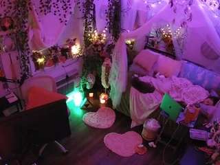 voyeurcam-veccasalt-01