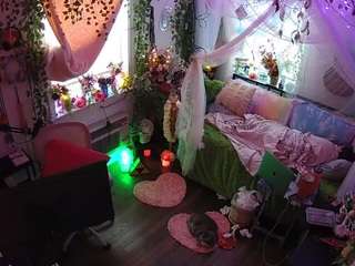 Live stream of voyeurcam-veccasalt-01