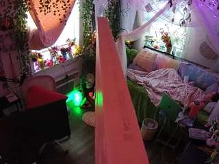 voyeurcam-veccasalt-01 webcam