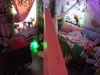 Live stream of voyeurcam-veccasalt-01